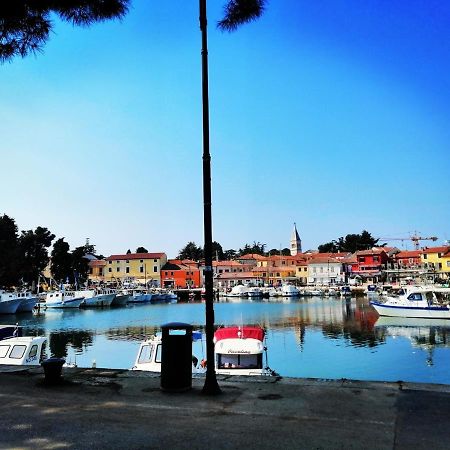 Novigrad Istria7 Palmi Novigrad公寓 外观 照片