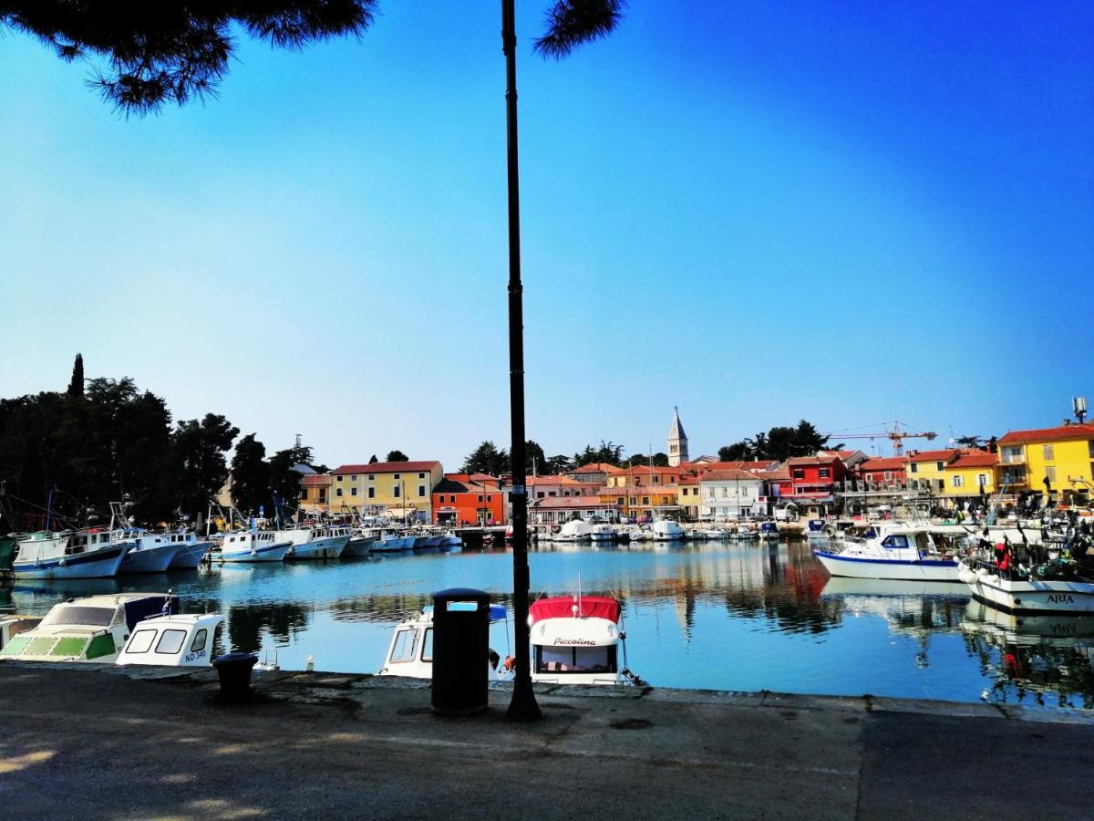 Novigrad Istria7 Palmi Novigrad公寓 外观 照片